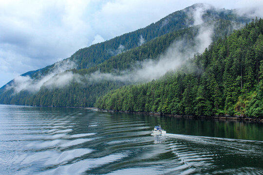 Fishing boat in the Oceon