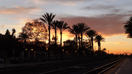 Fototapeta na wymiar Colorful sunset behind palm trees at the train station