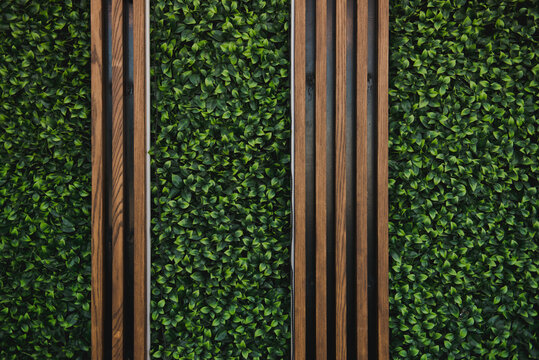 Plant decoration on a wall. Decorative wooden wall with plants. Background. Interior wall