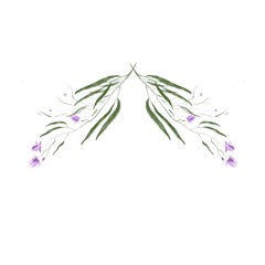 violet flowers