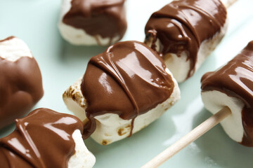 Plate of tasty grilled marshmallows with chocolate, closeup