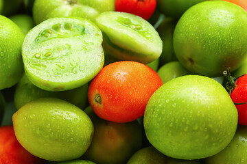 Many green and ripe tomatoes with water drops as background, closeup