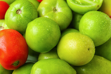 Green and ripe tomatoes as background, closeup