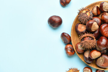 Plate with raw chestnuts on color background