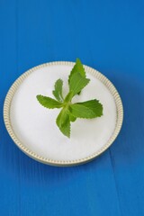 Stevia rebaudiana.Stevia green twig into stevia powder in a cup on bright blue background.Organic...