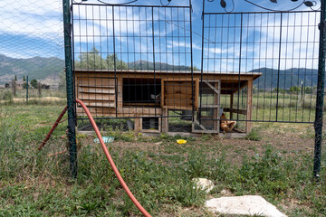 chicken coop © Rey