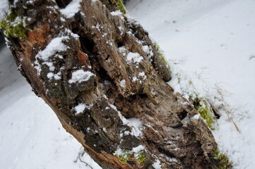 Hiking in Jeseniky Mountains, proper winter conditions