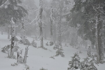 Hiking in Jeseniky Mountains, proper winter conditions