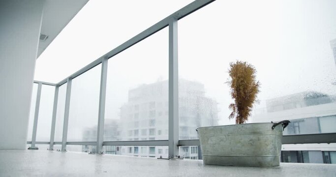 A view of a balcony with a small orange tree plant during a rainy day in Canada