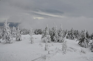 Hiking in Jeseniky Mountains, proper winter conditions