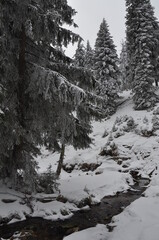 Hiking in Jeseniky Mountains, proper winter conditions