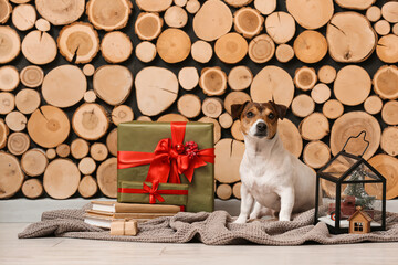 Cute Jack Russel Terrier with Christmas gifts, books and lantern near wooden wall