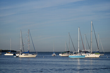 Fototapeta na wymiar Sailboats at anchor off Crandon Park and marina on sunny autumn morning.