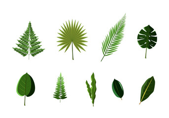 Green Leaf Set Vector Illustration