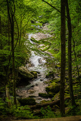 Fototapeta premium White Water Swirls Down Lynn Camp Prong Falls