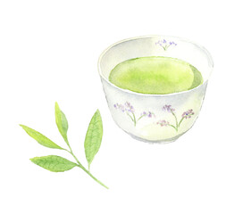 緑茶が入った湯のみとお茶の葉の水彩イラスト　