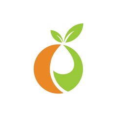 Fresh Orange Fruit logo design inspiration