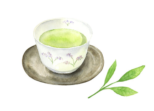 緑茶が入った湯のみとお茶の葉の水彩イラスト　アナログ手描き