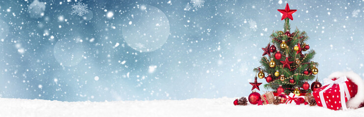 Christmas Tree with decoration on a winter background.