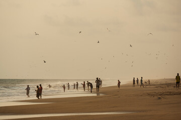Pesca en la playa