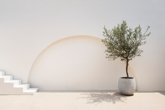 Mediterranean minimal wall and plant exterior architecture