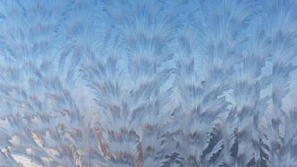 Frosty ice patterns on the glass are dendrites, similar to bizarre plants. Winter, Christmas