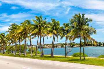 Fototapeta na wymiar Palm trees in Miami Beach