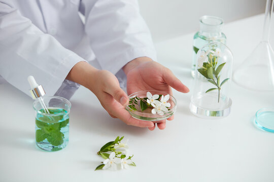 Plants and flowers extract in petri dish and a white background in laboratory , green leaf  in a test tube and scientist for cosmetic advertising , photography science concept