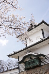 Naklejka premium 城と桜
