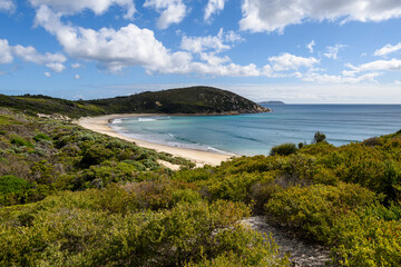 Picnic Bay, Wilsons Promontory, Victoria, Australia, Seascape