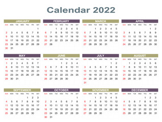 Calendar for 2022 isolated on a white background. Sunday to Monday, business template. Vector illustration