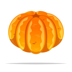 Peeled mandarin orange vector isolated illustration