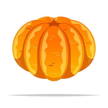 Peeled Mandarin Orange Vector Isolated Illustration