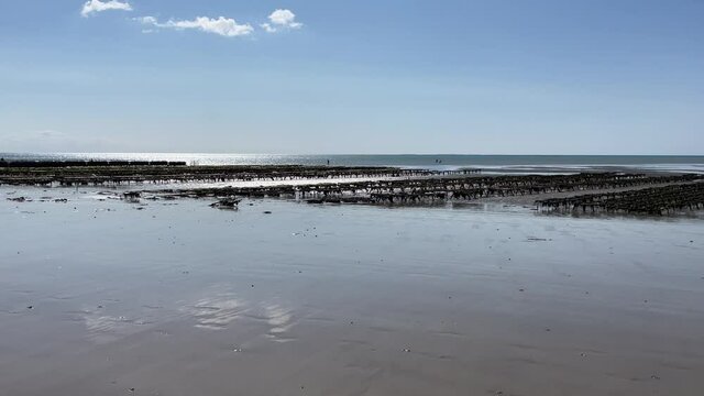 Mussels and Oyster Shellfish Farm in the Atlantic Ocean at Brehal, Granville in France. Wide Shot.