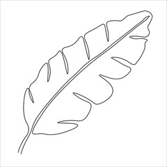 Banana leaf line drawing vector. Isolated icon. Tree Leaves. Design linear artwork element. Flat design. one-line object.