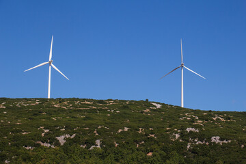 wind turbine in the field