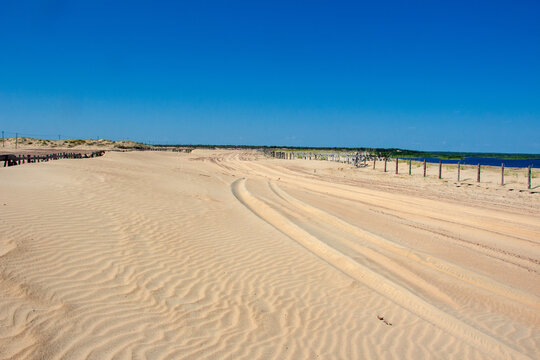 Sand dunes of the northernmost desert near the Varzuga River in the Murmansk region of Russia