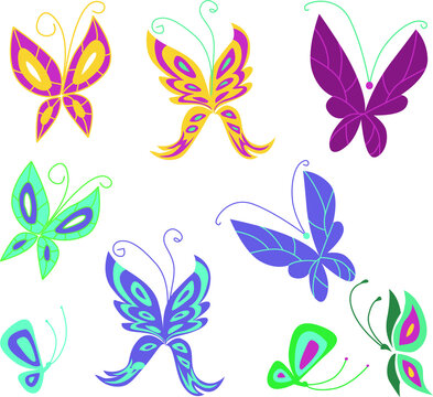 Set of  tropical butterfly. Flat design illustration