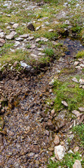 A small stream formed by melting snow in summer on the mountain. North Caucasus. Vertical format.