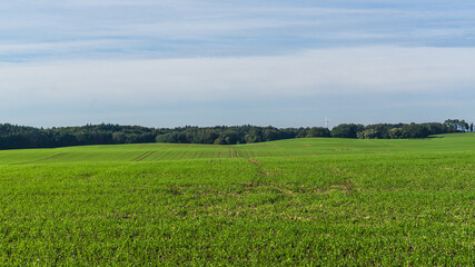 Felder und Wälder in Mecklenburg im Herbst