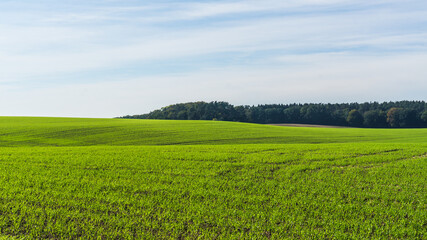 Fototapeta premium Felder und Wälder in Mecklenburg im Herbst