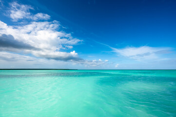 paradise tropical beach palm