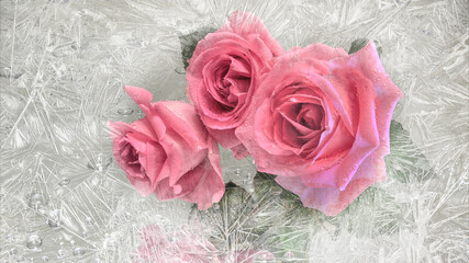 View of beautiful pink rose flowers bouquet through frozen window glass. Gentle roses - symbol of love in hoarfrost frame. Romantic Valentine concept, artistic image. Love will melt the ice