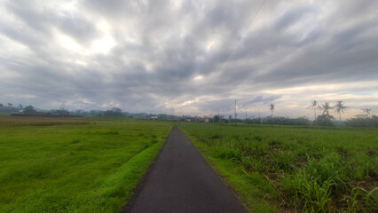 Fototapeta na wymiar cloudy atmosphere in the countryside full of greenery in village
