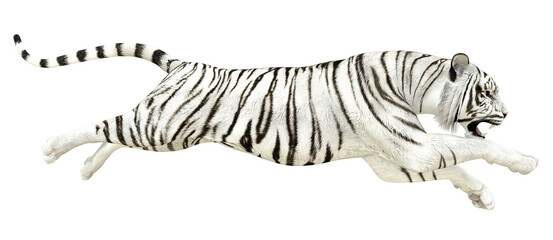 3D White tiger