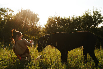 cheerful woman playing with a dog in a field in nature in summer