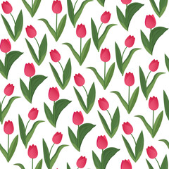 Seamless pattern with pink tulips