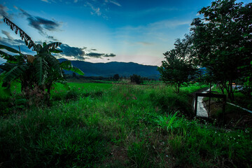 The view of the natural background of the mountain close-up, with blurred fog scattered in the rainy season or the humid climate, with beautiful green trees in the ecological system