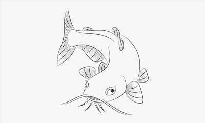 Hand draw catfish illustration