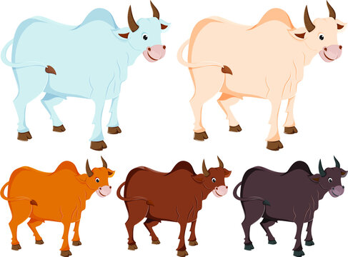 Ox Cartoon Five colour set